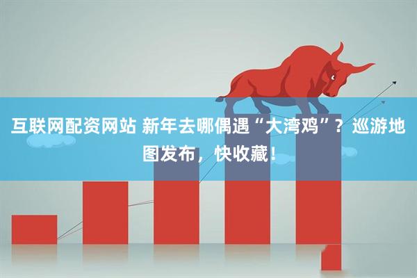 互联网配资网站 新年去哪偶遇“大湾鸡”？巡游地图发布，快收藏！